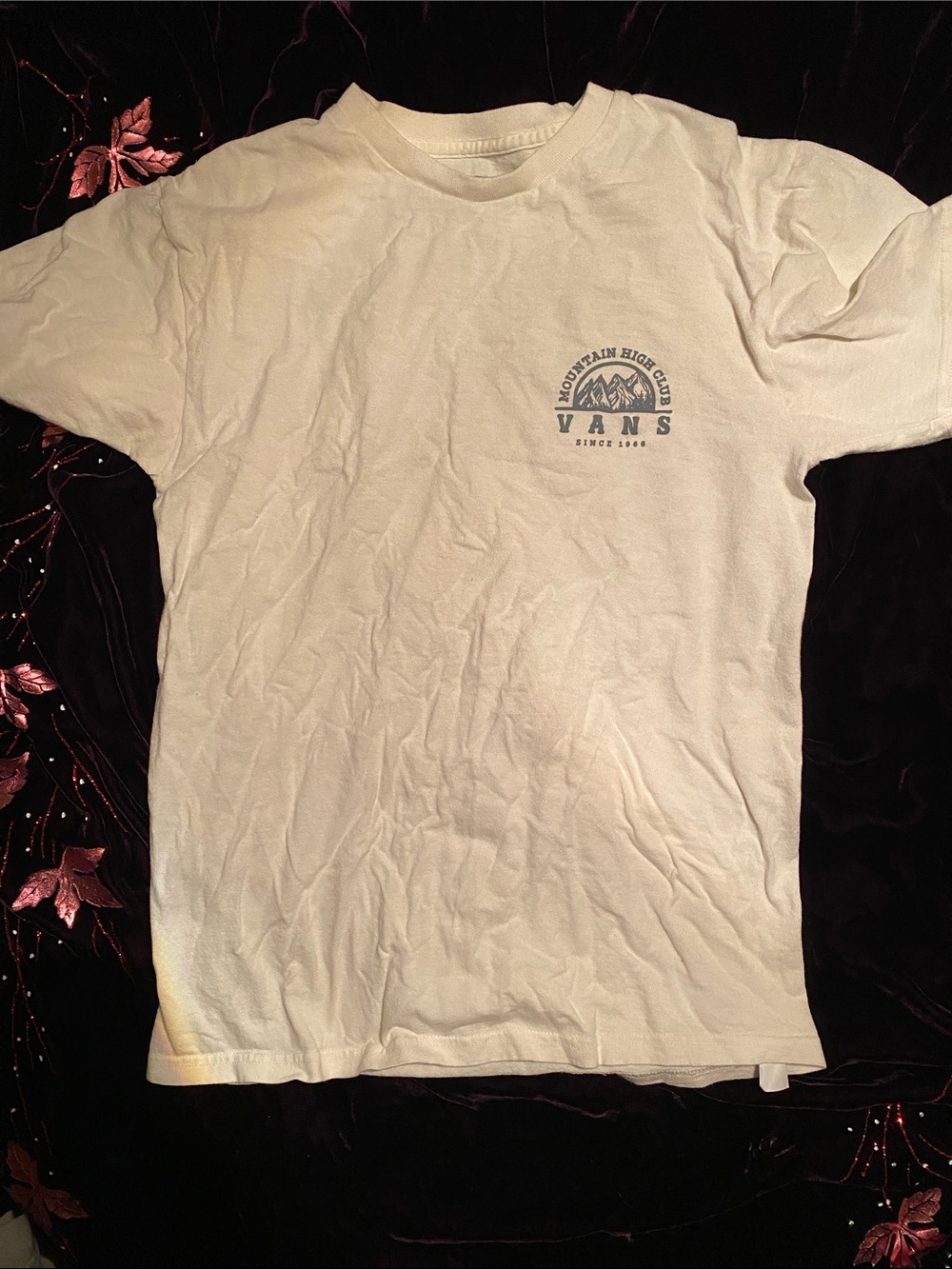 Vans Cream Short Sleeve Mountain High Club Graphic Tee
